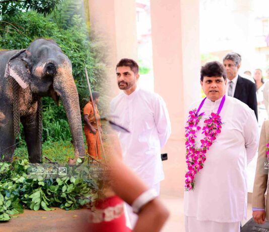 Alimankada 2026